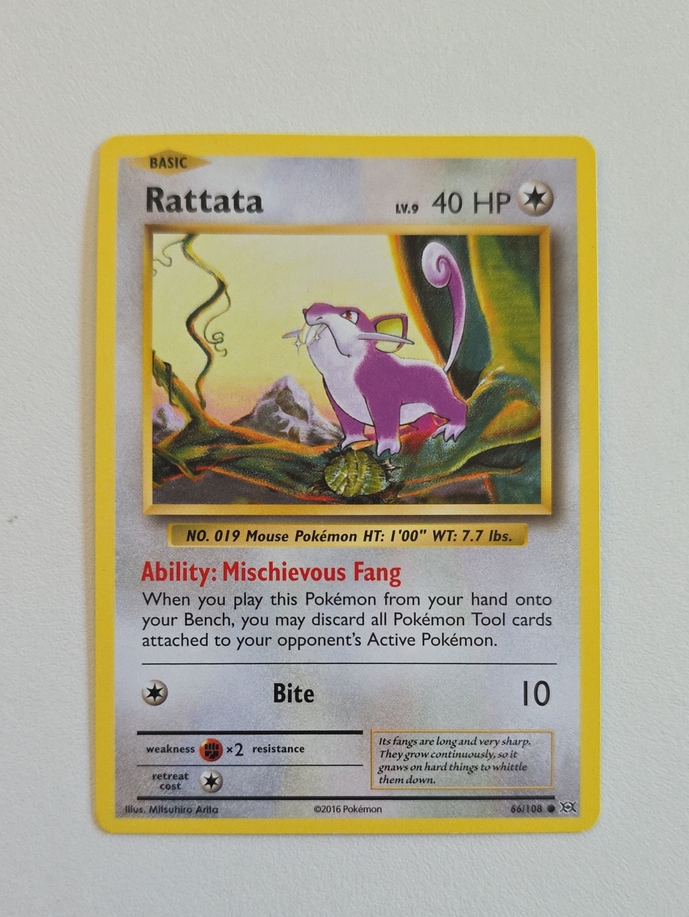 Pokemon Rattata And Raticate Card - Picture 2 of 5